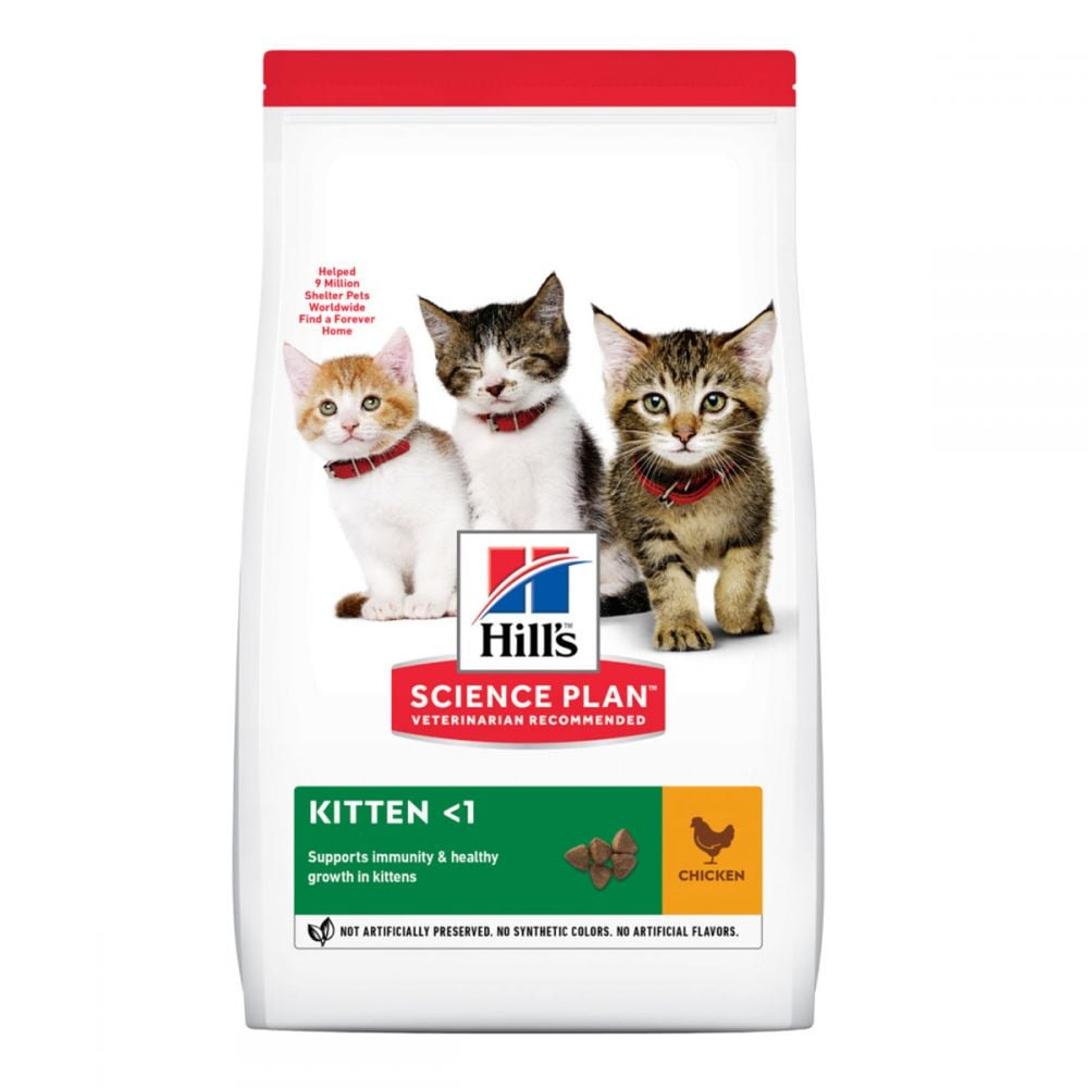 Сухий корм Hill's SP Kitten для кошенят та годуючих кішок з куркою, 0,3 кг, фото 1