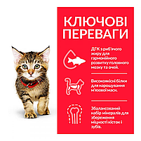 Сухий корм Hill's SP Kitten для кошенят та годуючих кішок з куркою, 0,3 кг, фото 3
