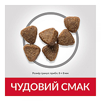 Сухий корм Hill's SP Kitten для кошенят та годуючих кішок з куркою, 0,3 кг, фото 4