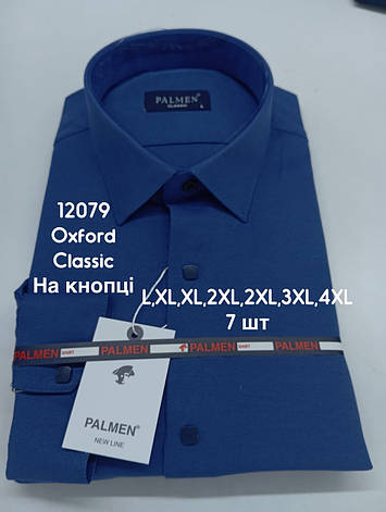 Сорочка однотонна з довгим рукавом Palmen classic оксфорд (кнопка), фото 1