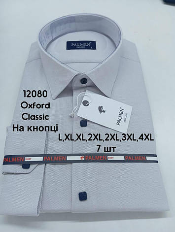 Сорочка однотонна з довгим рукавом Palmen classic оксфорд (кнопка), фото 1