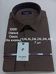 Сорочка однотонна з довгим рукавом Palmen classic оксфорд (кнопка)