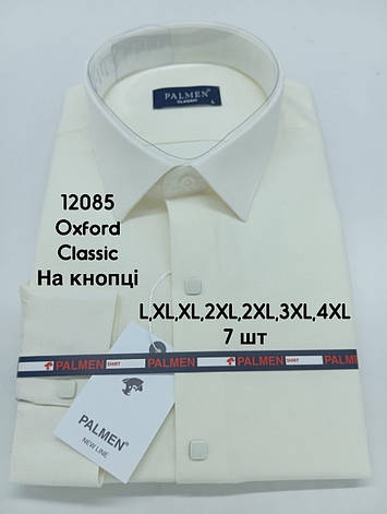 Сорочка однотонна з довгим рукавом Palmen classic оксфорд (кнопка), фото 1