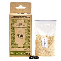 Змінний комплект для антинакипних фільтрів "SVOD-AS" SC100 (100 мл)