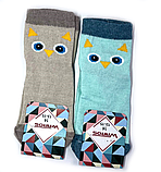 Шкарпетки дитячі Сова 14 р. (12 пар!) (Демісезонні) Варос, фото 2