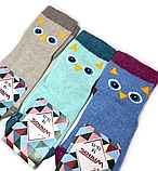 Шкарпетки дитячі Сова 14 р. (12 пар!) (Демісезонні) Варос, фото 3