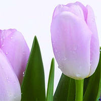 Підставка для чашки 100 х 100 мм.