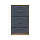 Комод Doros Ронді Дуб Артізан/Графіт 5 шухляд 60х40х100 (41516188), фото 3