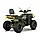 Квадроцикл FORTE AFC250 PRO, фото 3