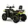 Квадроцикл FORTE AFC250 PRO, фото 6
