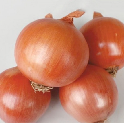 Насіння ріпчастої цибулі Борнео F1 Takii Seeds 250000, фото 1