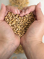 Білкова сировина. Кормові добавки.