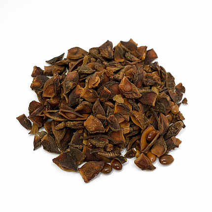 Бодян дроблений, фото 1