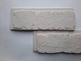 СТАРА ЦЕГЛА зі швом (1 м2), фото 4