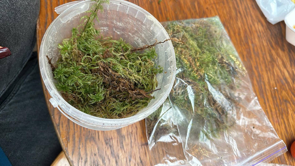 Мох сфагнум натуральний 1л - фото покупців 1