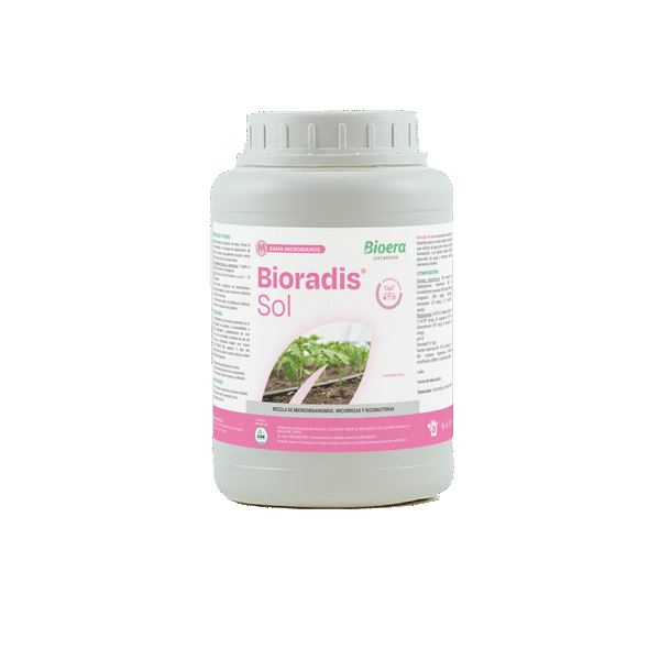 Інокулянт Біорадіс Сол / Bioradis Sol 1 кг Bioera Іспанія, фото 1