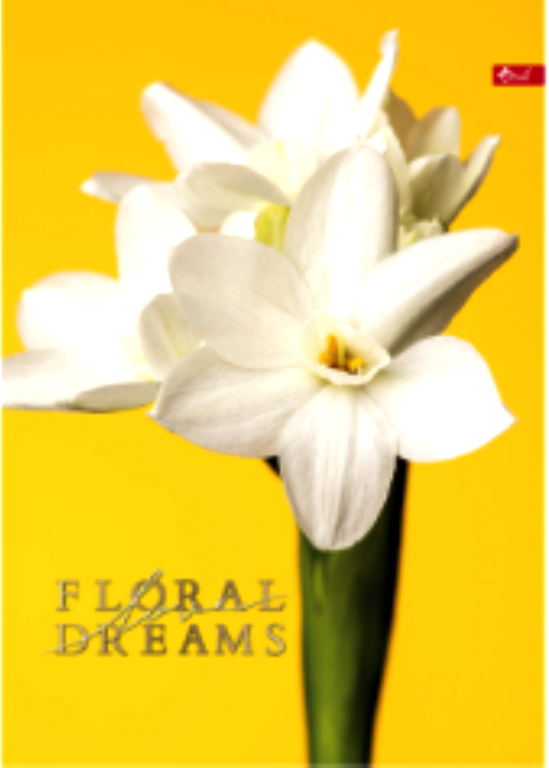 Канцелярська книга А4, 96 аркушів, тверда обкладинка, серія "Квіти" СКАТ ТП-27, фото 1