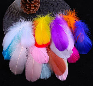Декоративне Пір'я / Пухнасті / Упаковка ≈ 45-50 шт / від 6 до 14 см / Мікс Яскравий №19