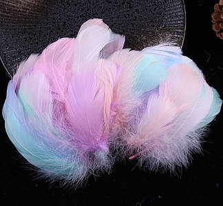Декоративне Пір'я / Пухнасті / Упаковка ≈ 95-100 шт / від 6 до 14 см / Мікс Пастель №22