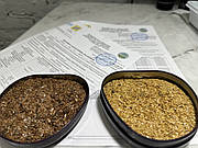 Льон: Золота культура України, що підкорює світ. Чому аграріям варто зробити ставку на "АВС СТАНДАРТ"?