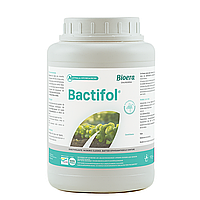Біофунгіцид Бактіфол / Bactifol 100 г Bioera Іспанія