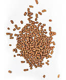 Гречаний чай в стіках IZUMI 125 г, фото 2