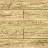 Ламінат Kronopol Дуб Лібрето 4V 12/33 40384, фото 2