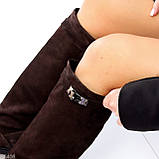 Жиночі шкіряні чоботи, Високі замшеві чоботи демі, чоботи жокейки, фото 7