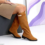 Жиночі шкіряні чоботи, Високі замшеві чоботи демі, чоботи жокейки, фото 4