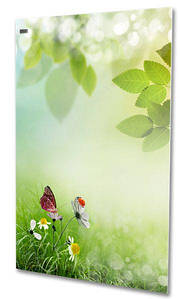 Металевий обігрівач HSteel ISH 250 F Premium