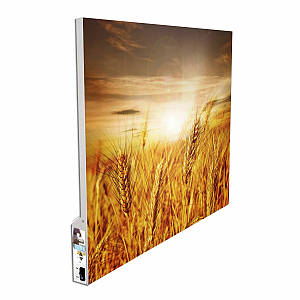 Металевий обігрівач HSteel ISH 450 F Premium