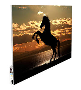 Металевий обігрівач HSteel ISH 600 F Premium