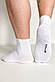 Шкарпетки чоловічі бавовняні 3 шт. WoolBaa HYX 41-43 білий, фото 3