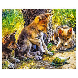 Алмазний живопис, "Вовченята" 30х40см. в коробці GLD62357