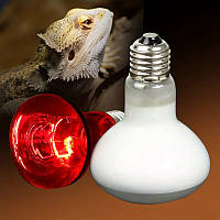 Інфрачервона лампа E27 50Вт для обігріву терраріумів