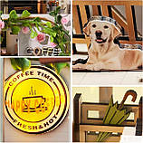 Бук Нук Сонячна кавова теплиця DIY Book Nook Sunshine Coffee Greenhouse Інтерьерний конструктор YM-07, фото 4