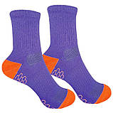 Чоловічі шкарпетки 1and1 36526 41-45 Фіолетово-жовтий 2 пари (36527), фото 2