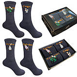 Шкарпетки жіночі 1and1 35604 36-40 Різнокольоровий 4 пари (35607), фото 2