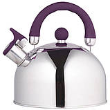 Звичайний чайник на газову плиту Unique, Чайник зі свистком для електроплити Кухонний газовий NM-26, фото 7