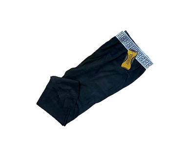 Підштаники чол термо фліс рт.0202 р.XL ТМ VOVOBOY