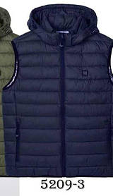 Жилетка чоловіча оптом, Glo-story, 2XL-5XL рр,  № MMJ-5209-3