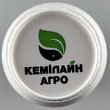 Інсектоакарицид + Фунгіцид "БРУНЬКА" 1 л (КЕМІЛАЙН АГРО). Комплексний системно-контактний, фото 4