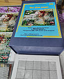 Набір для вишивання "Фея біля озера" 24 каунт ДМС. Ціну уточнюйте, фото 2