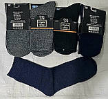 Чоловічі шкарпетки "Чайка" шерсть собача махра, фото 2