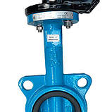 Засувка Батерфляй TIS D106 ДУ 125 РУ 10/16 з диском з нержавіючої сталі, фото 2