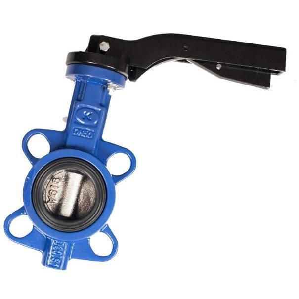 Засувка Батерфляй з н / ж диском з редуктором Zetkama DN 250 PN 1,6 МПа, фото 1