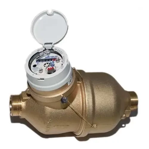 Об'ємний лічильник холодної води Sensus 620 Q3 10 R160 Ду 32, фото 1