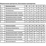 Турбінний лічильник холодної води Sensus MeiStream 40/50 Ду 40, фото 3