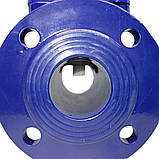 Лічильник води іригаційний Baylan (IP68) W-5i Dn200 (ХВ), фото 3