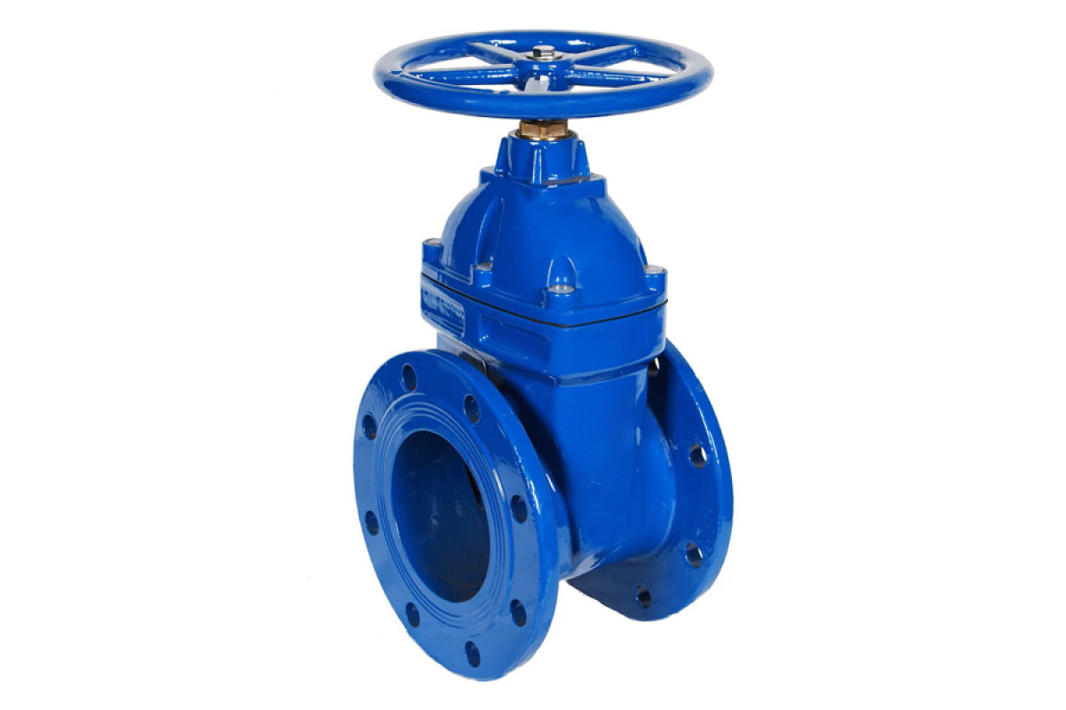 Засувка фланцева клинова чавунна 30ч39р Ду 65, фото 1